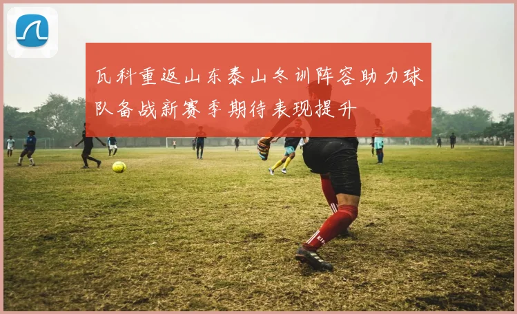 瓦科重返山东泰山冬训阵容助力球队备战新赛季期待表现提升